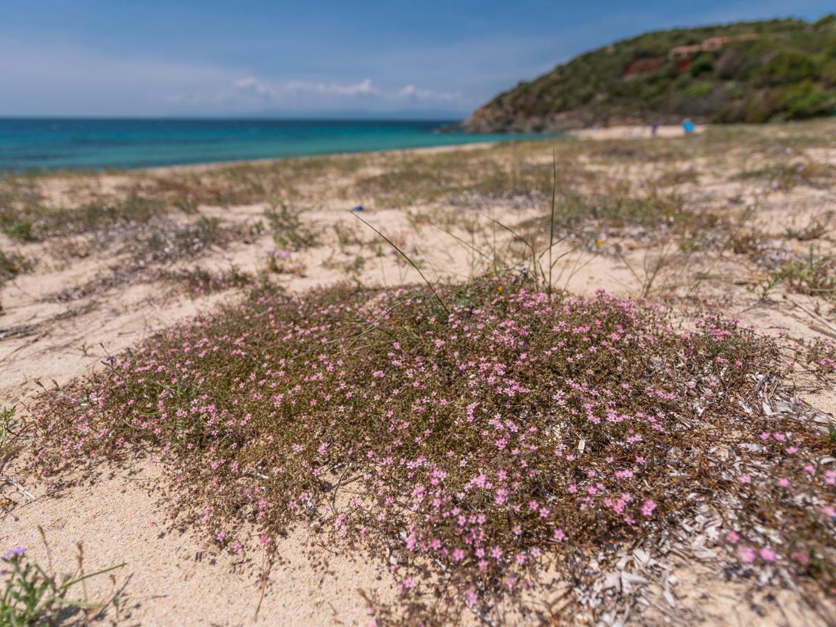 Sardinia Spa Apartment Geremèas Exteriér fotografie